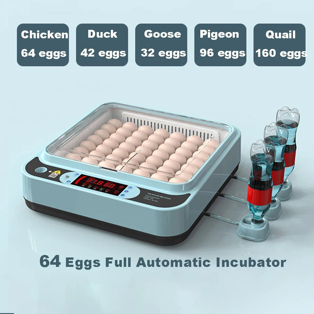 64/6 Chicken Duck Quail Egg Incubator