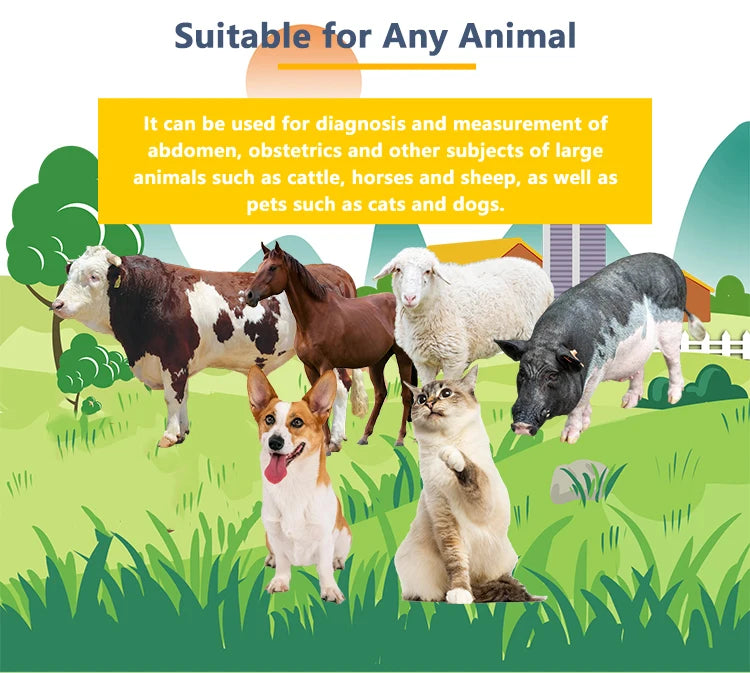 Portable Veterinary Ultrasound Scanner