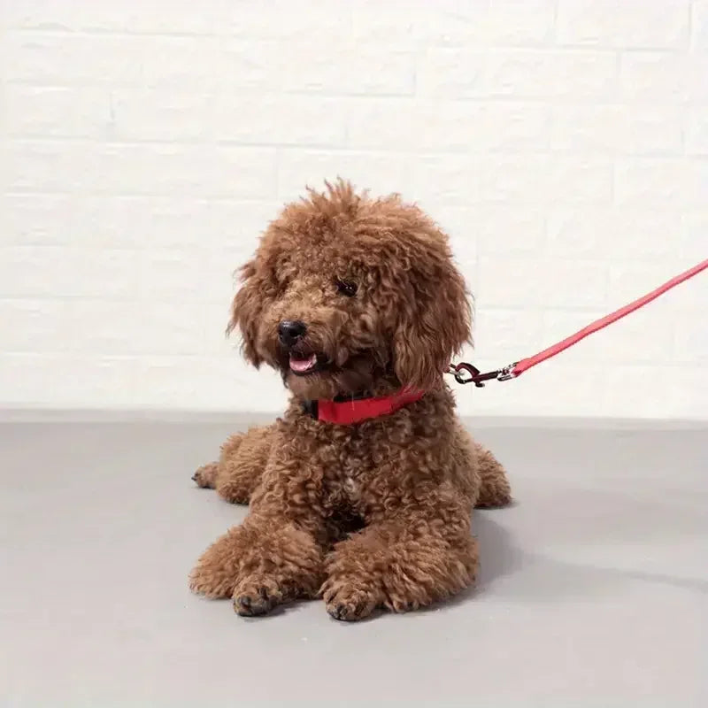 Light Up LED Pet Dog Collar