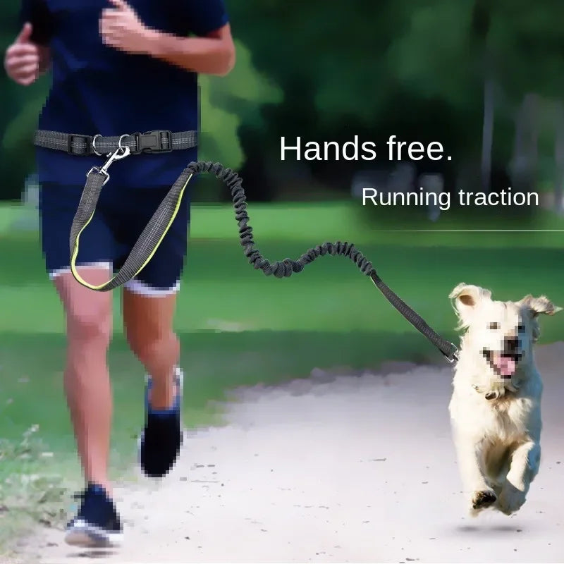 Hand Free Dog Leash for Pet Walking Running Jogging