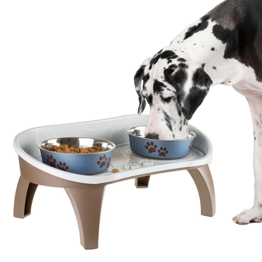 Elevated Dog Bowl Stand with Splash Guard