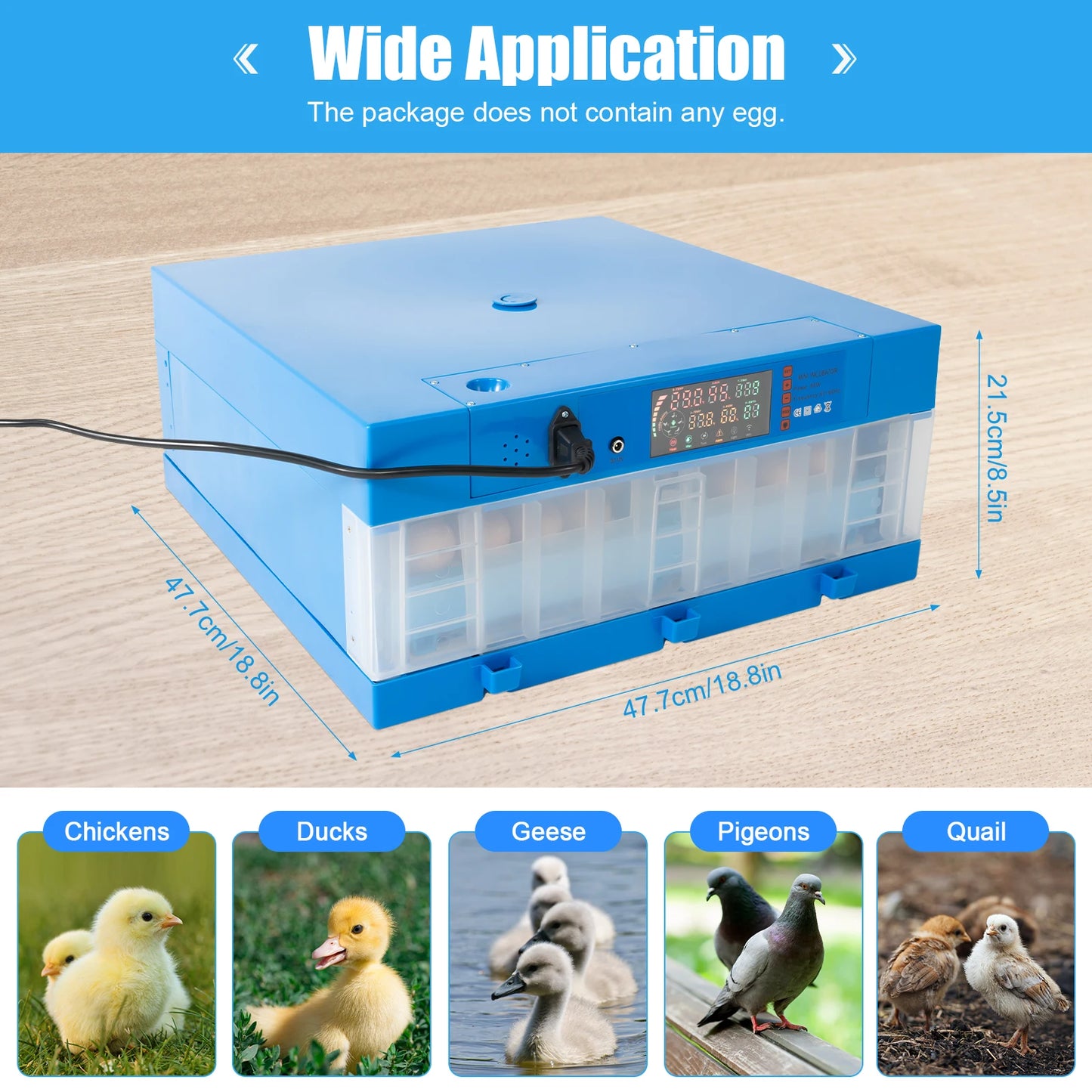 2-in-1 48 Egg Incubator with Temperature Display