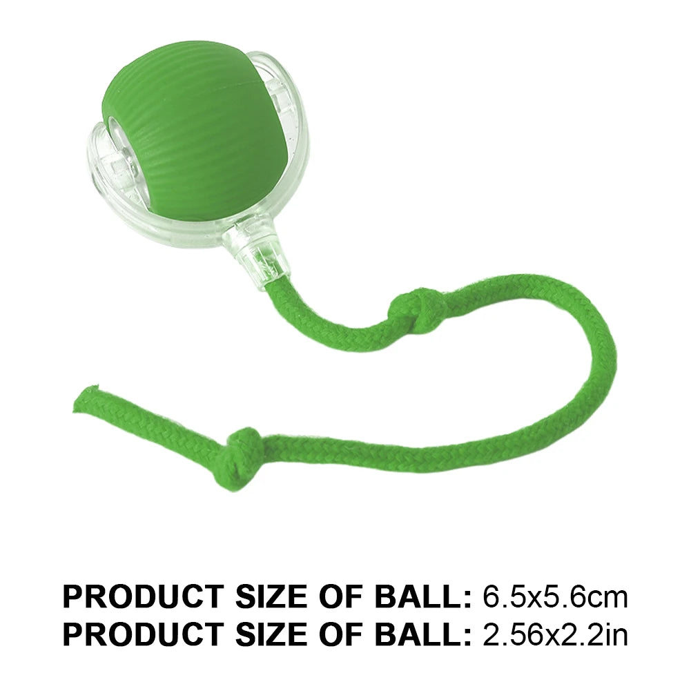 Caterpillar Teasing Cat Toy