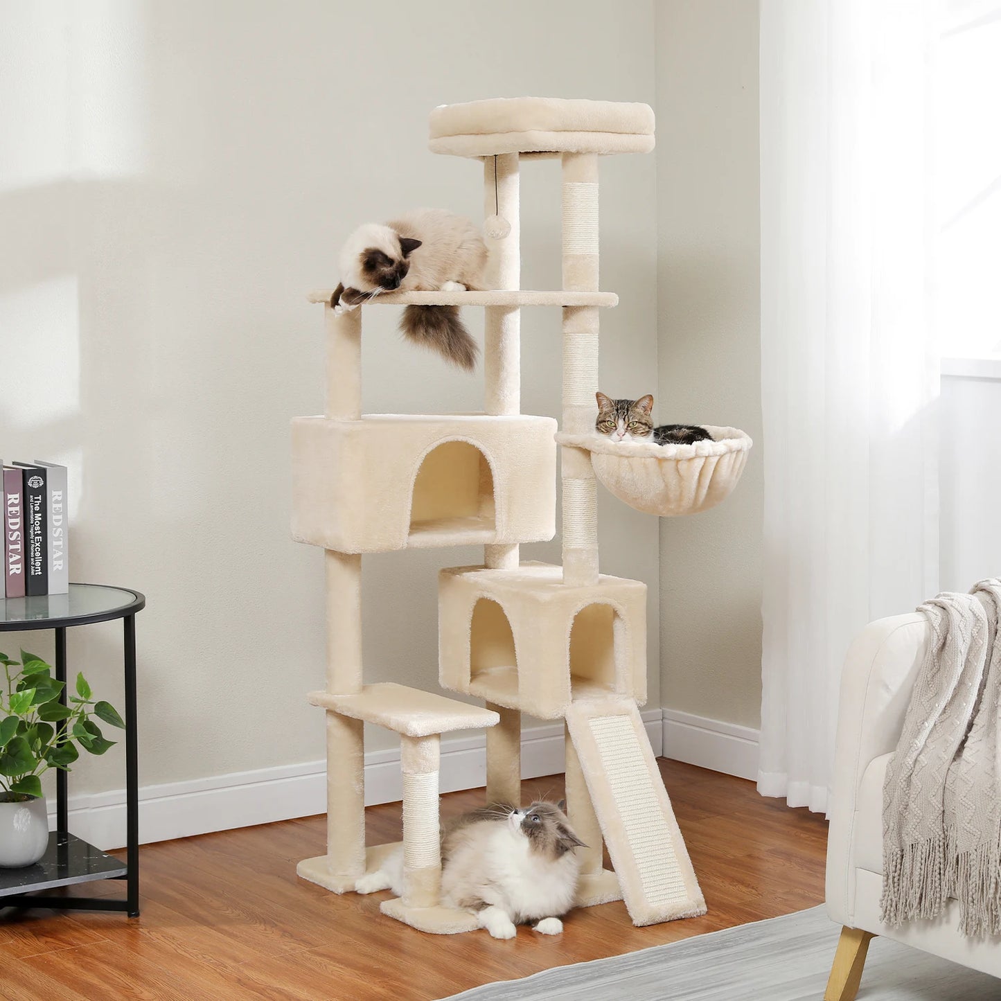 Multi-Level Cat Tree for Large Cats