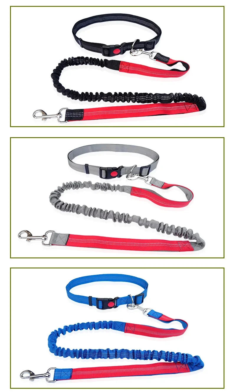 Hand Free Dog Leash for Pet Walking Running Jogging