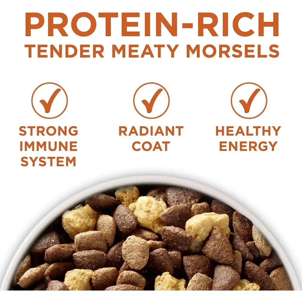 Plus Healthy Weight High-Protein Dog Food