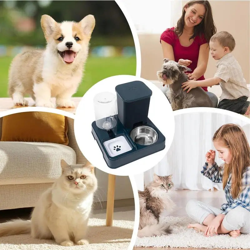 Cat Feeder And Water Dispenser