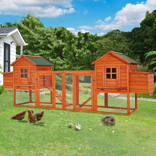 Large Chicken Coop