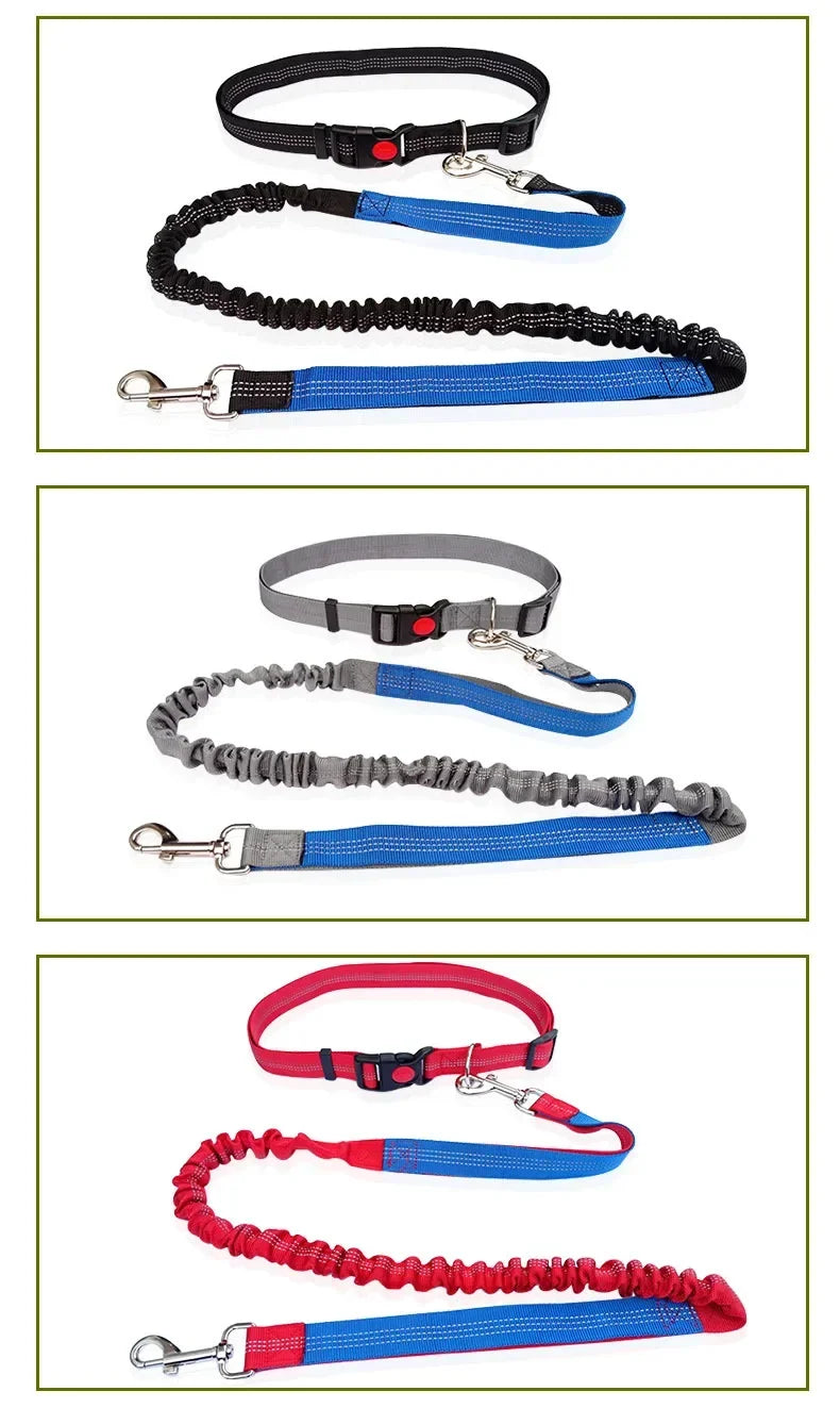 Hand Free Dog Leash for Pet Walking