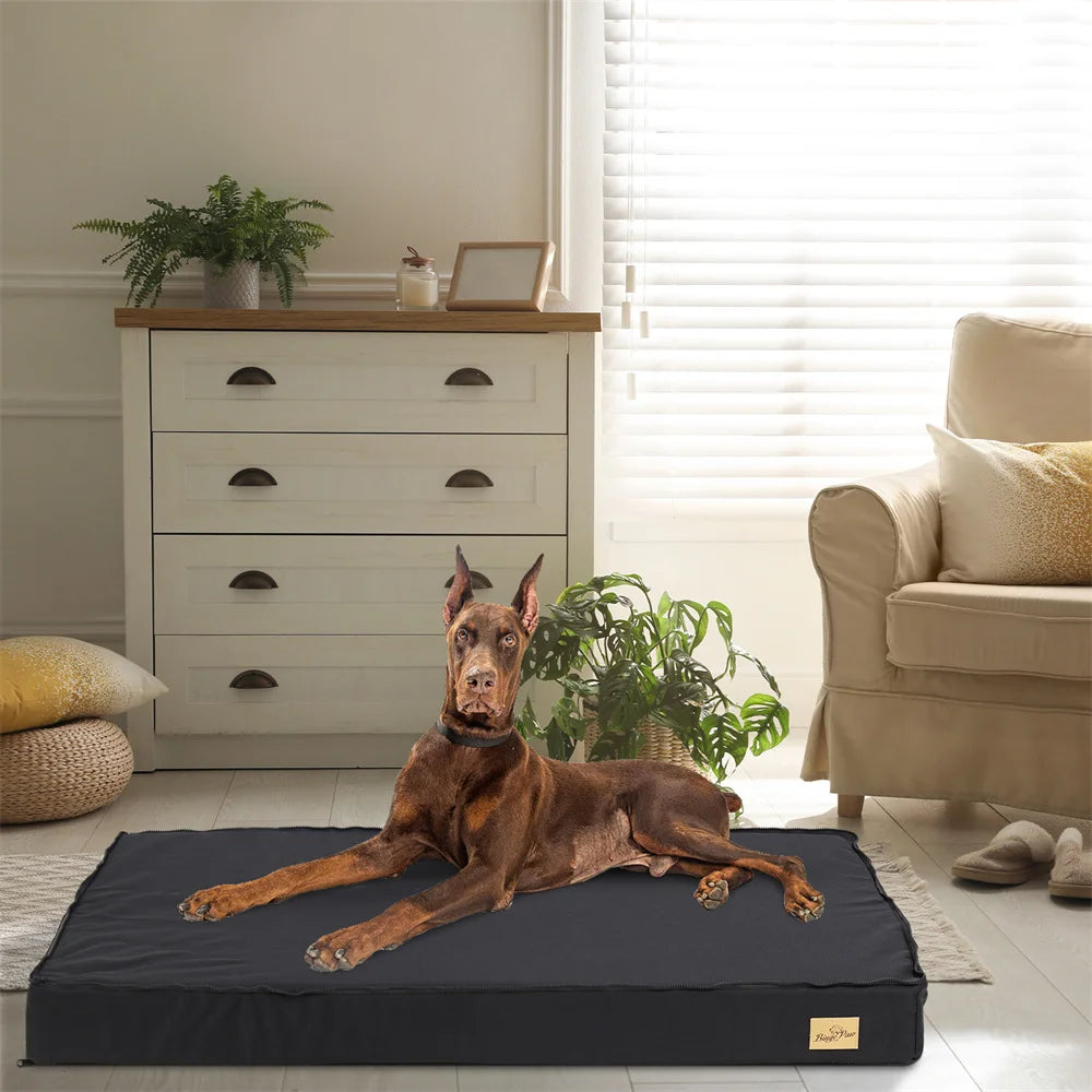 Large Orthopaedic Dog Bed