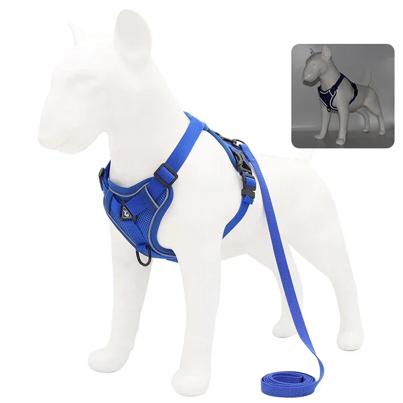 No Pull Dog Harness and Leash Set