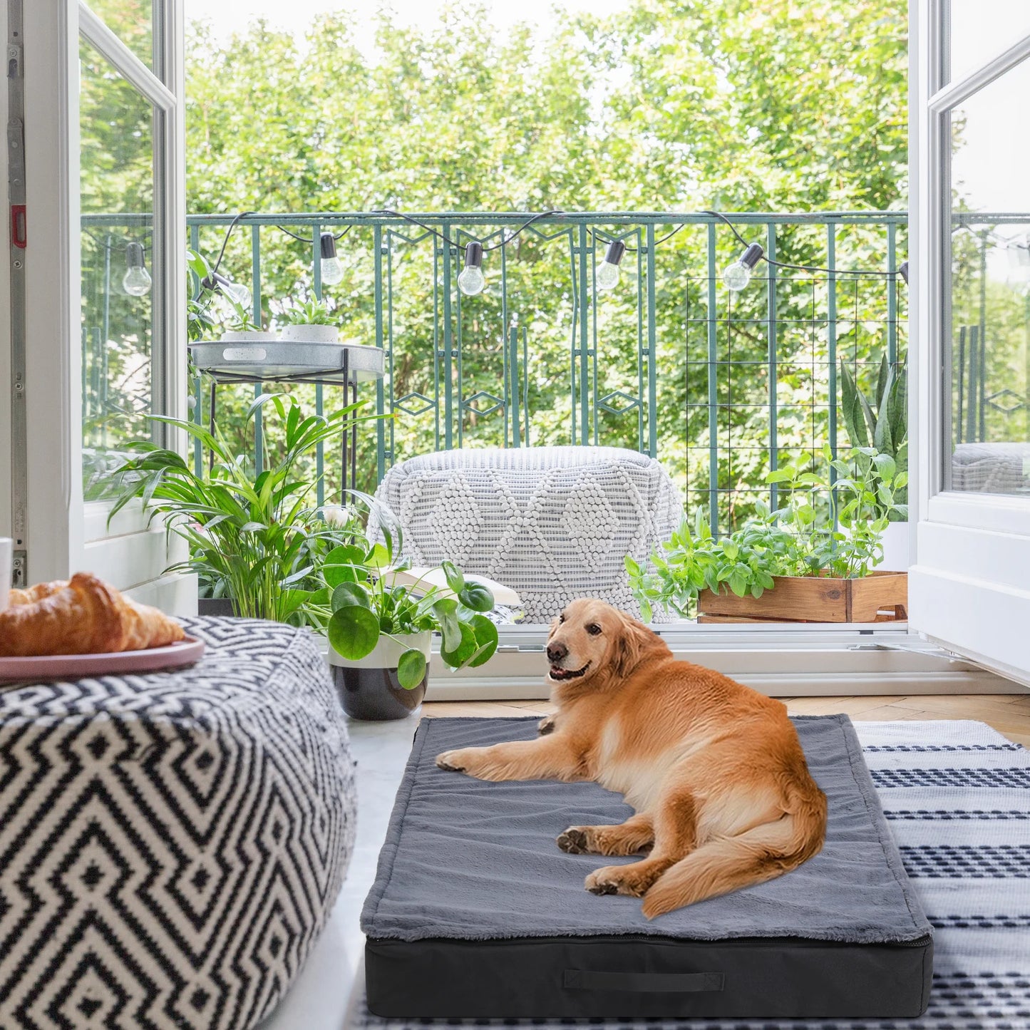 Dog Beds for Large Dogs