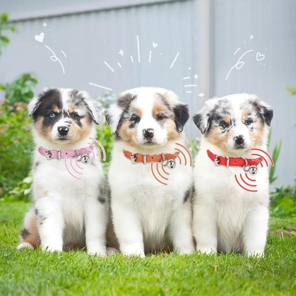 New Product Adjustable Teacup Dog Collar