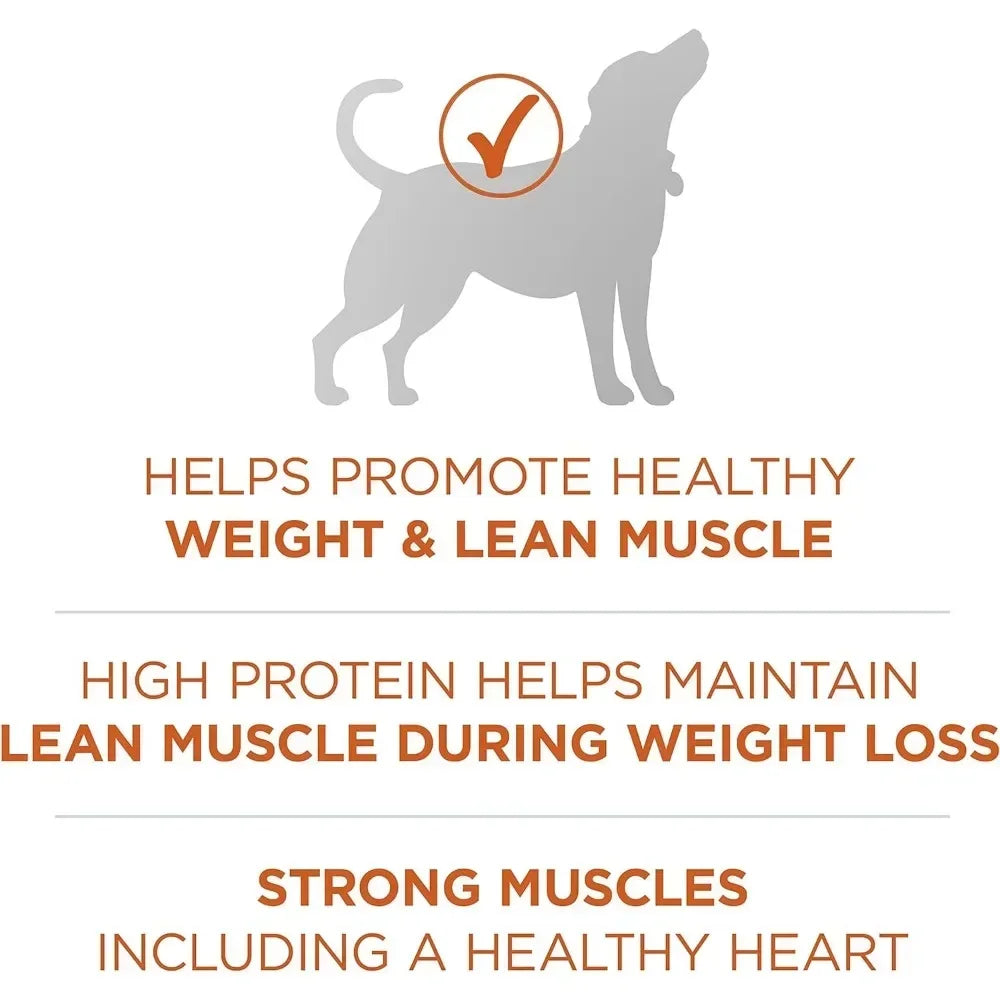 Plus Healthy Weight High-Protein Dog Food