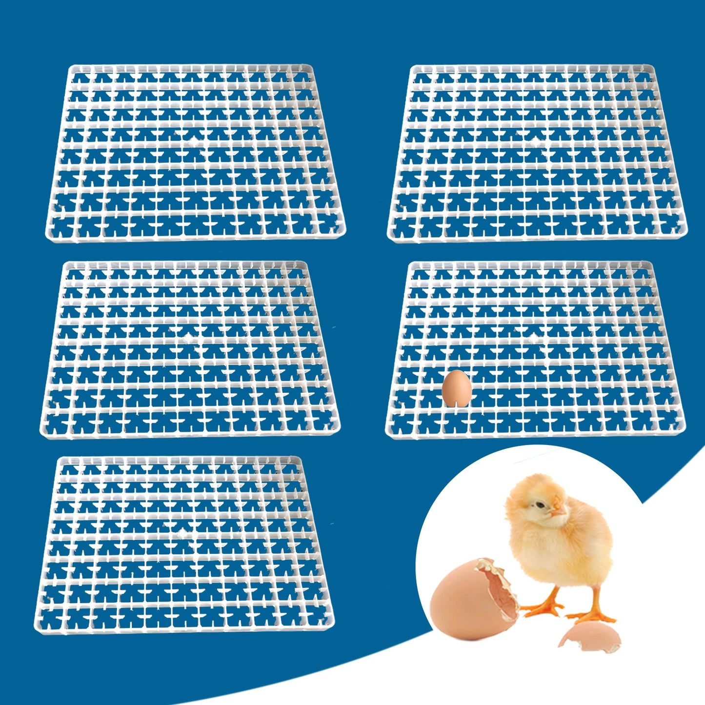 LOYALHEARTDY 5pcs 440 Quail Egg Turning Tray