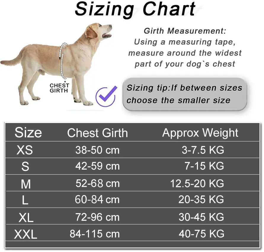 Personalized Dog Harness