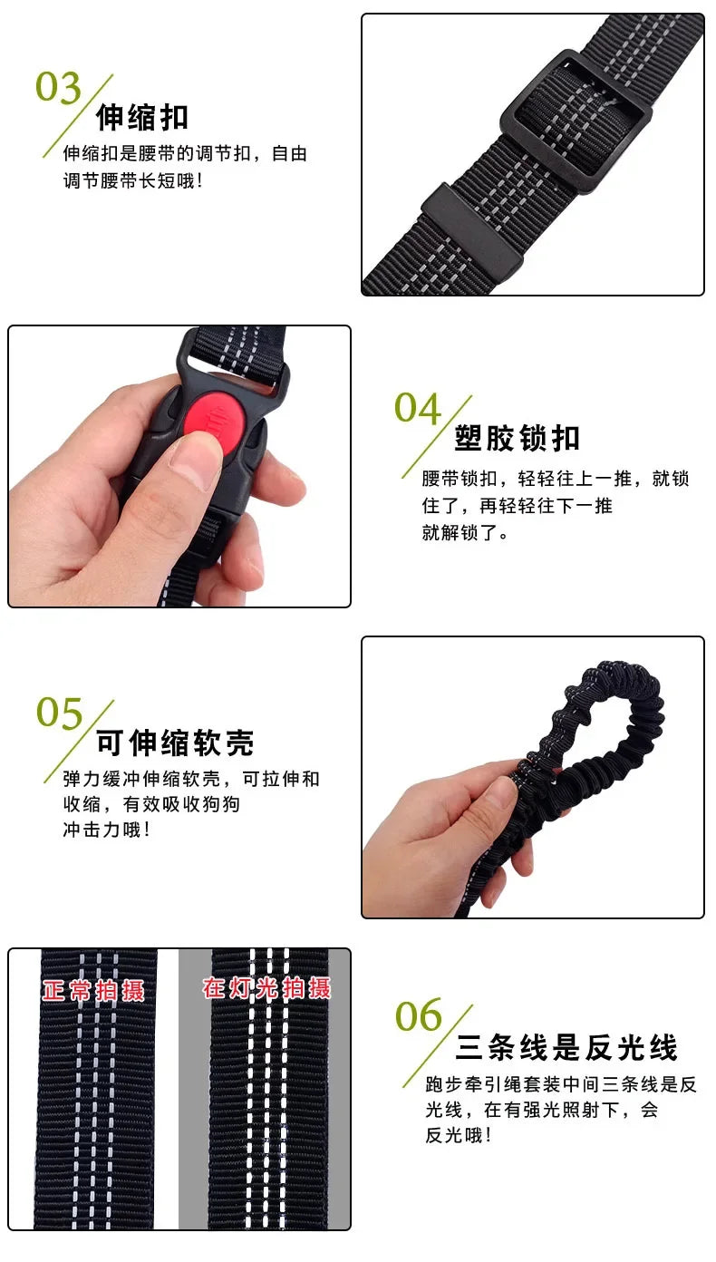 Hand Free Dog Leash for Pet Walking Running Jogging