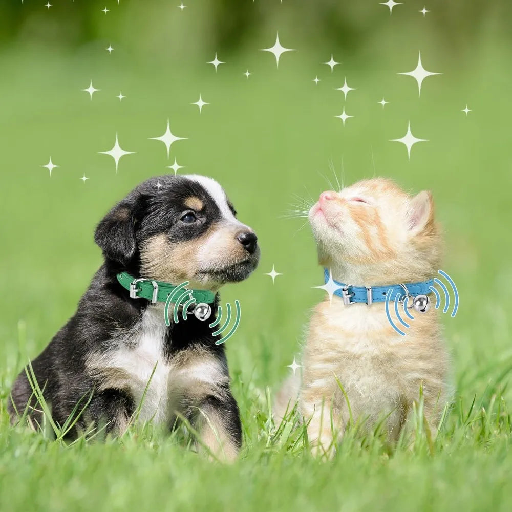 New Product Adjustable Teacup Dog Collar