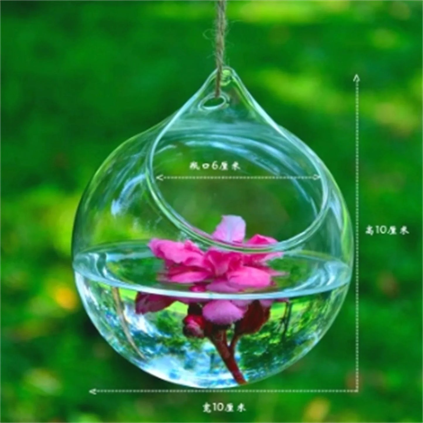Humming Glass Feeder Outdoors Bird Feeder