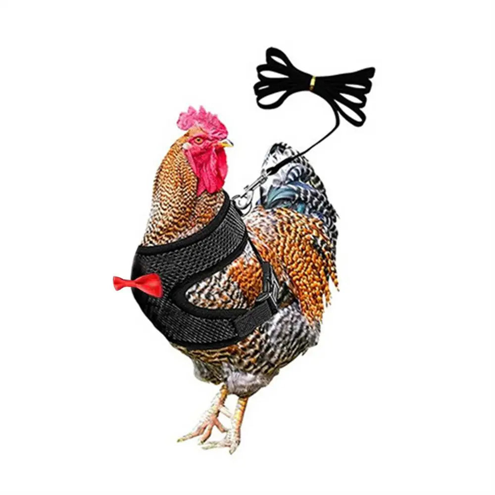 Poultry Harness Rope