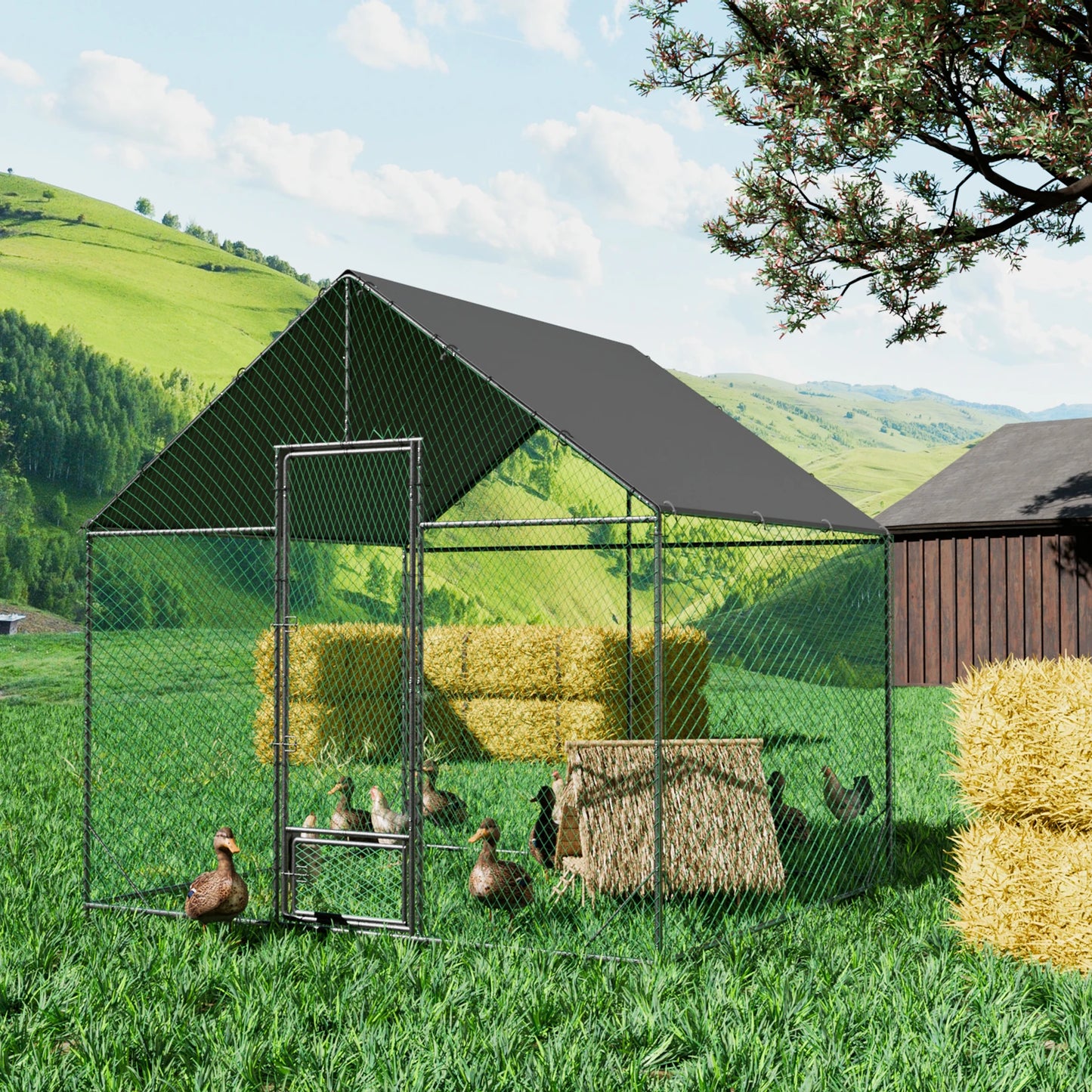 Heavy Duty Upgrade Outdoor Chicken Coop