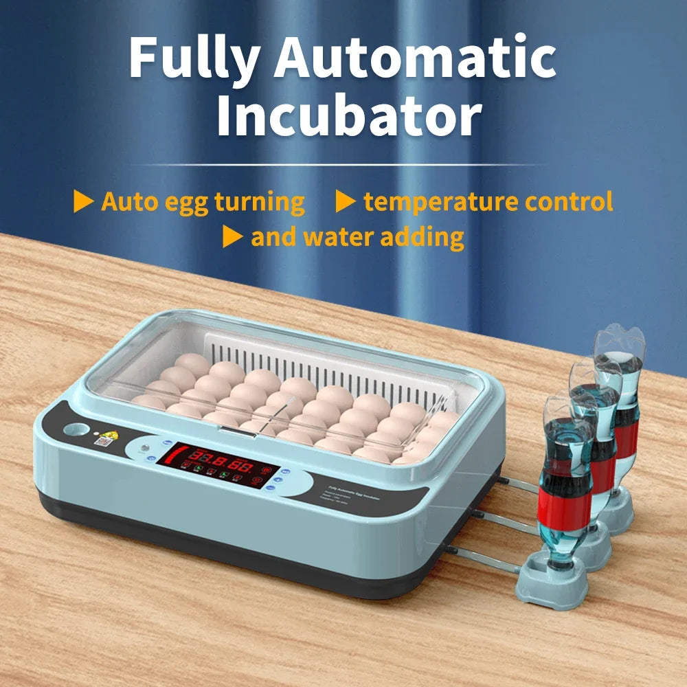 64/6 Chicken Duck Quail Egg Incubator