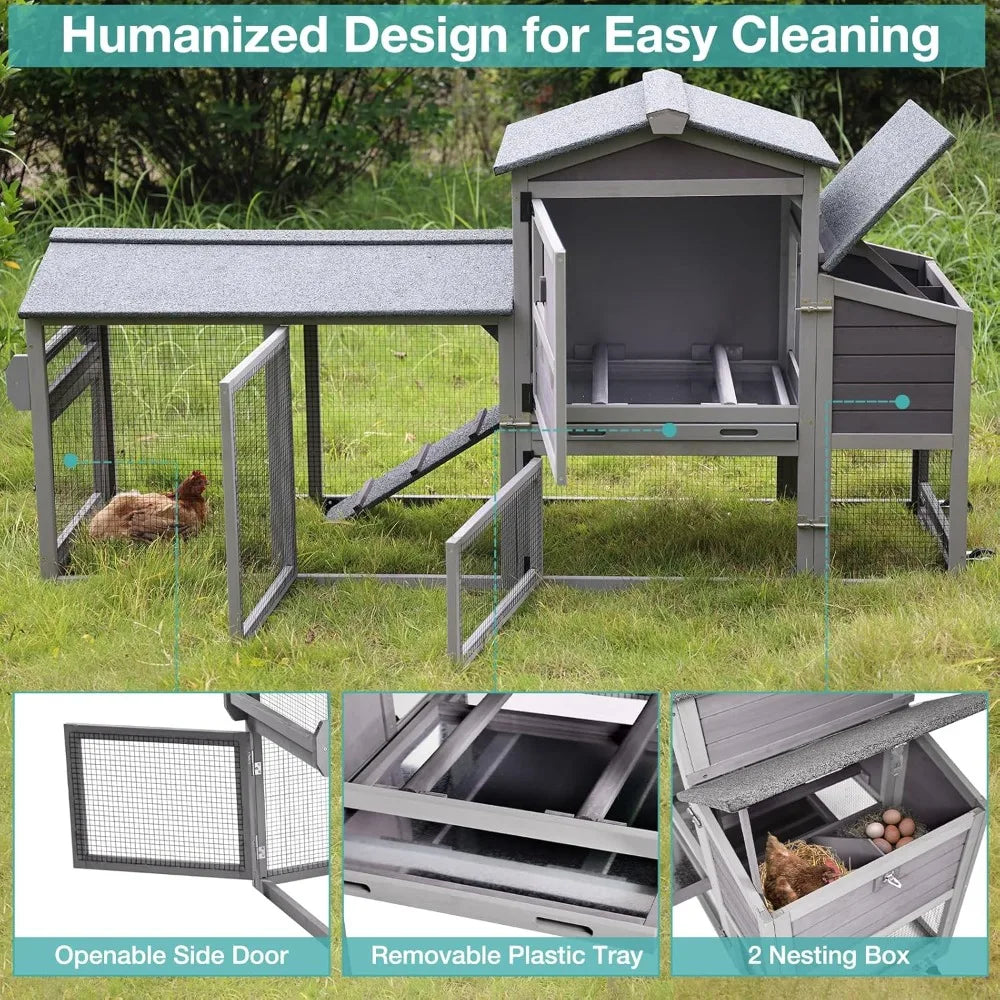 Chicken Coop