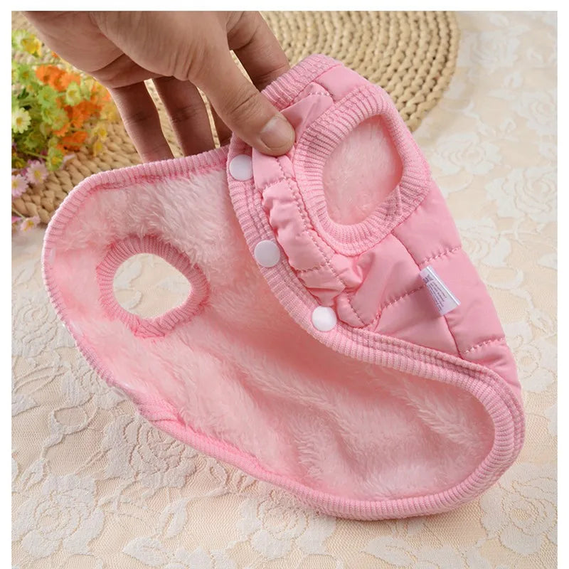 Designer Trendy Dog Clothes