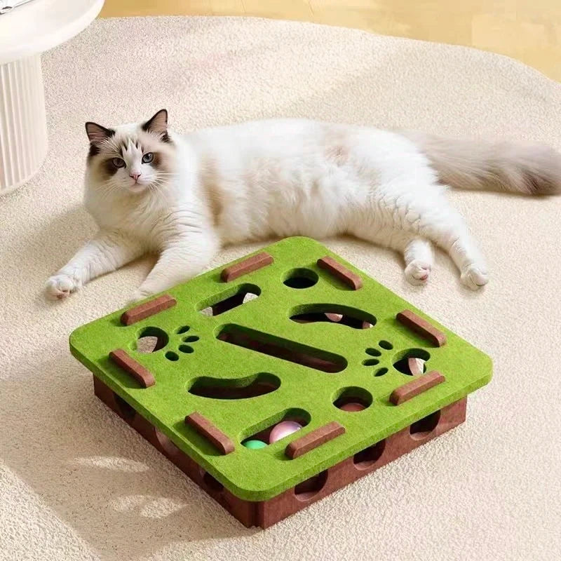Pet Cat Puzzle Maze Holes Toys