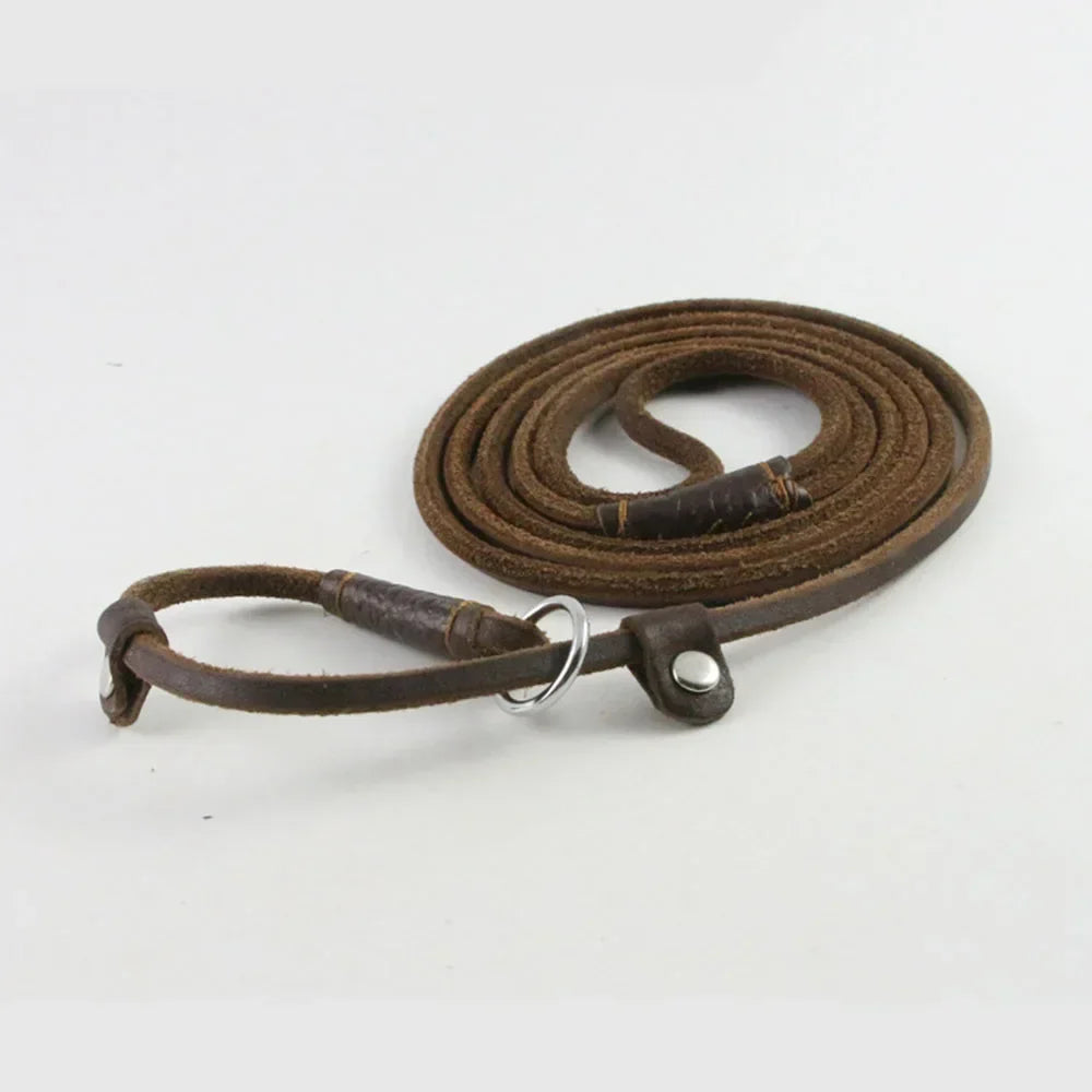 Genuine Leather Slip Dog Leash
