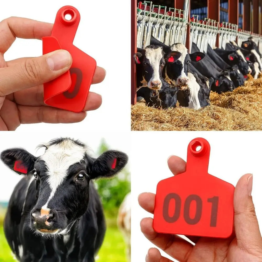 100Pcs 001-100 Numbers Cow Ear Tag