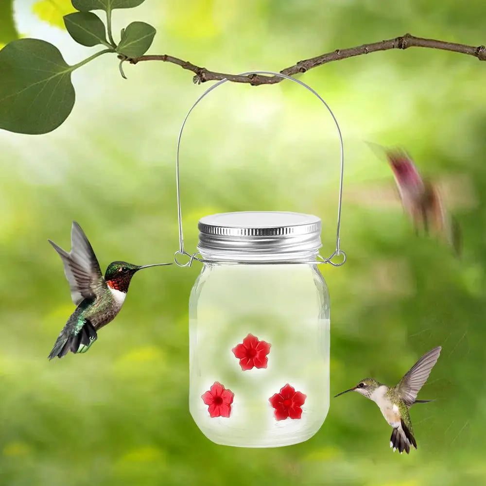 Bird Feeder Outdoor Hanging Bird Water Feeders