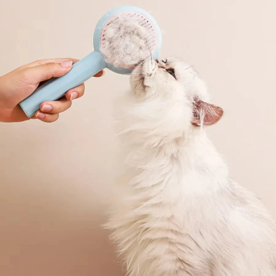 Cat Brush