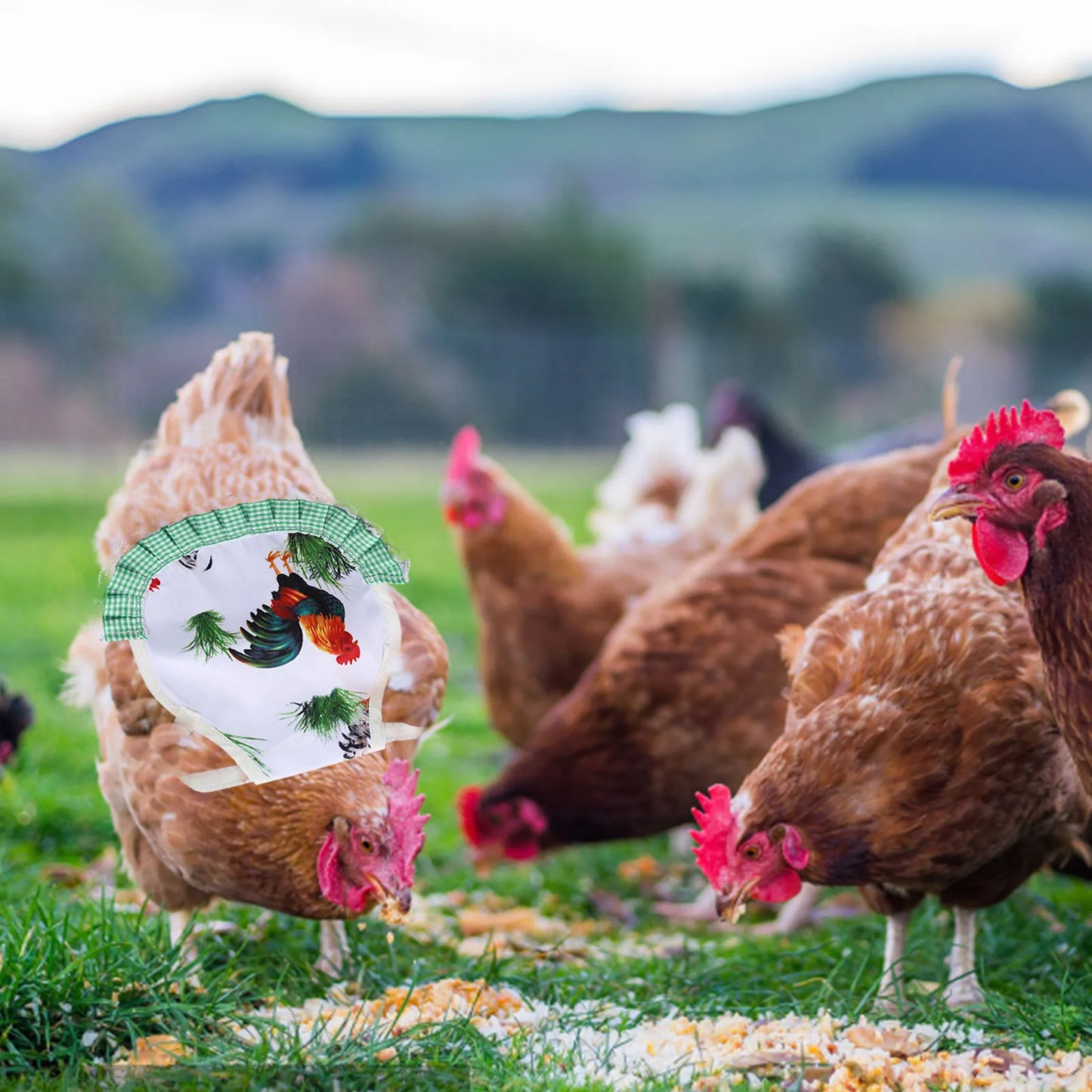 1pcs Farm Hen Feather Retainer Chicken Saddle Strap Apron