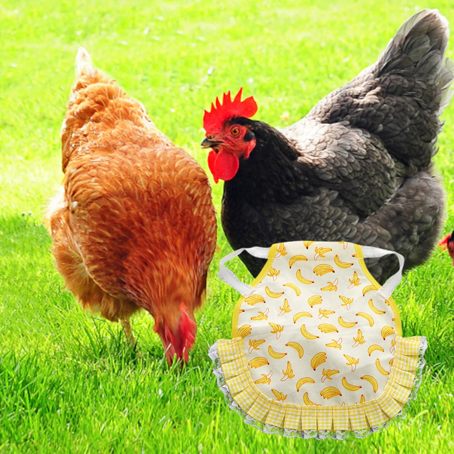 1pcs Farm Hen Feather Retainer Chicken Saddle Strap Apron