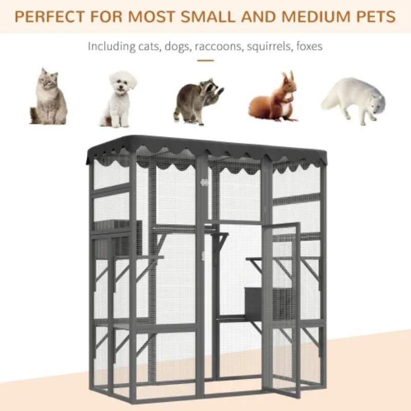 Outdoor Cat House Big Catio