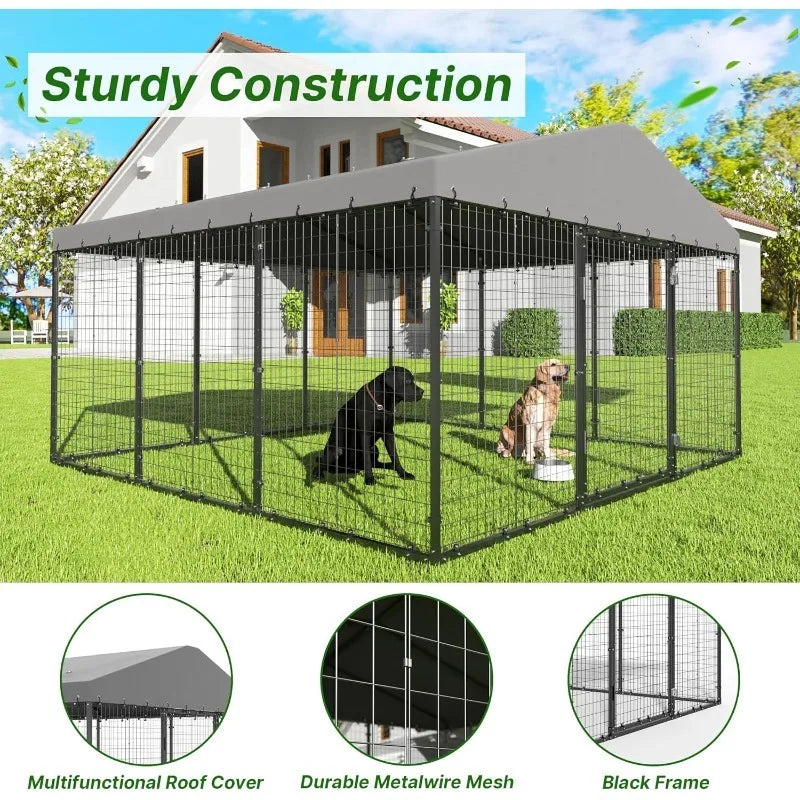 Large Outdoor Dog Kennel