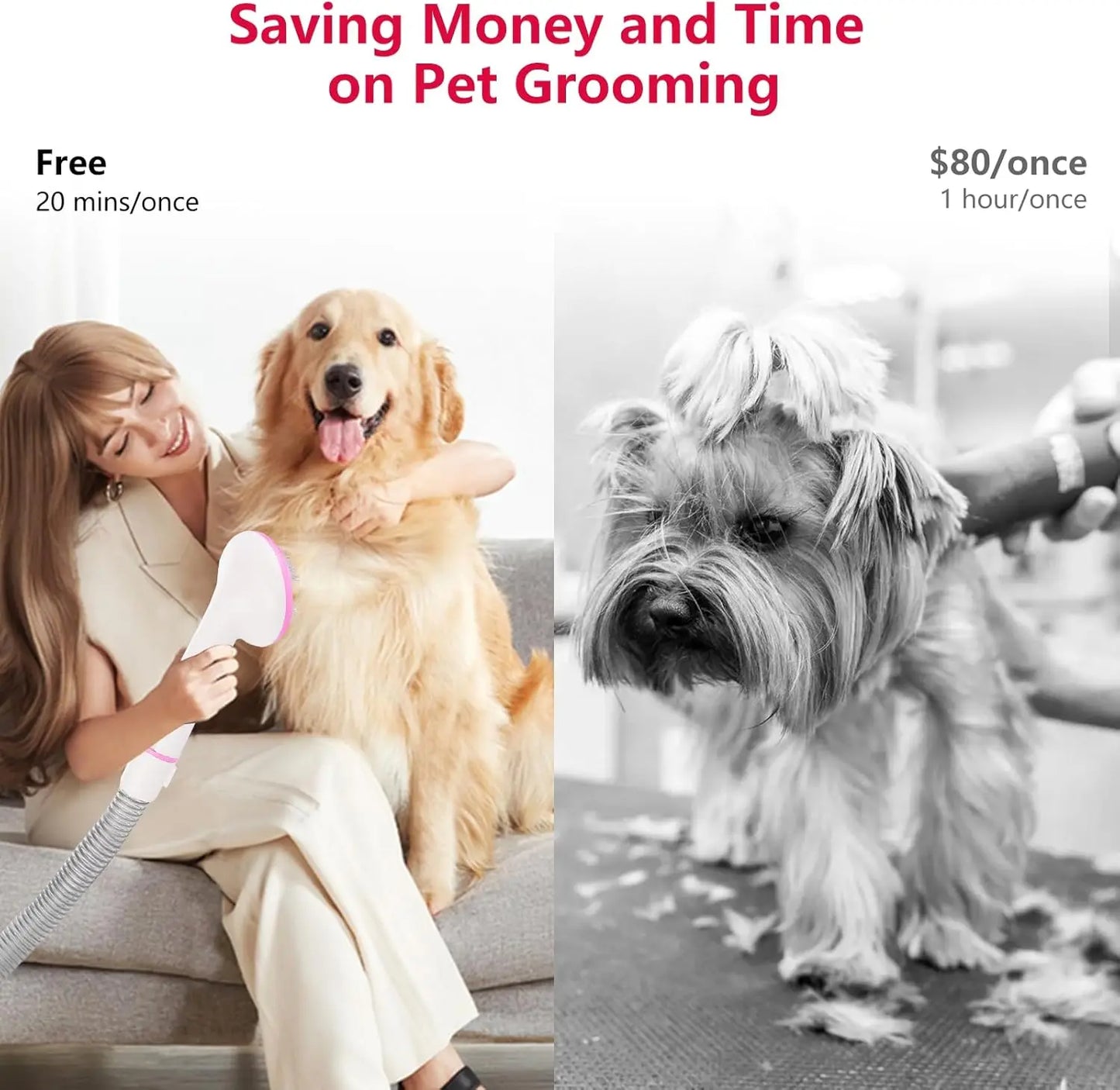 Pet Grooming Vacuum