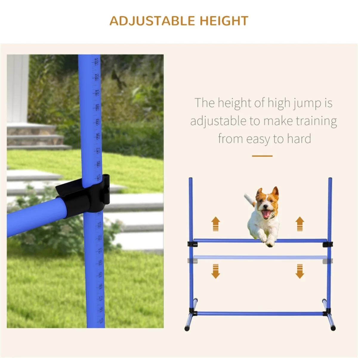 Dog Agility Dogs Fences Set