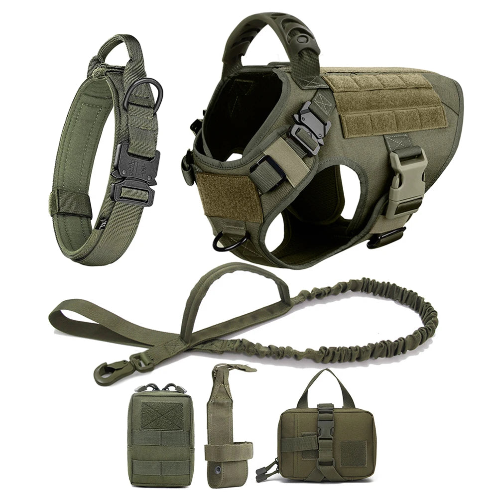 Large Dog Harness and Leash Set