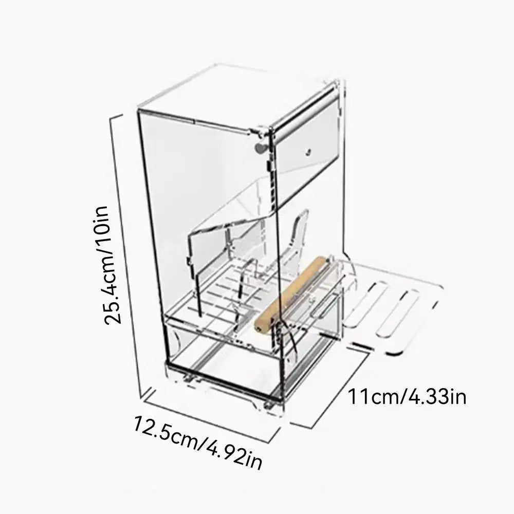 Parrot automatic feede