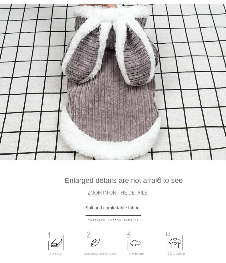 Warm Winter Clothes for Kittens