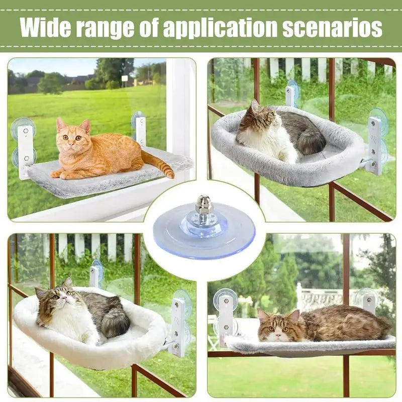 Cat Hammock Suction Cup PVC