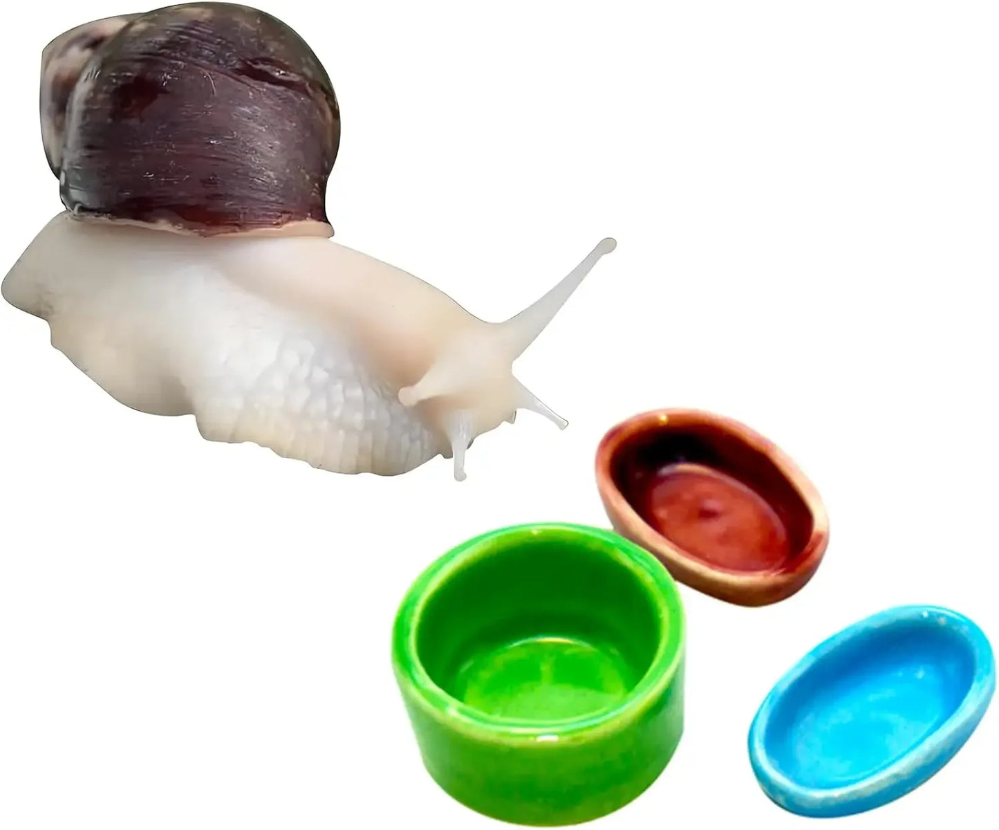 3 Snail Food and Bowl Land Pet Calcium Feeder