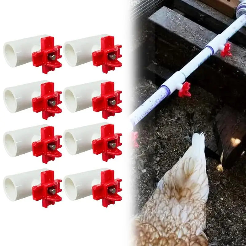 Chicken Water Cups For Poultry