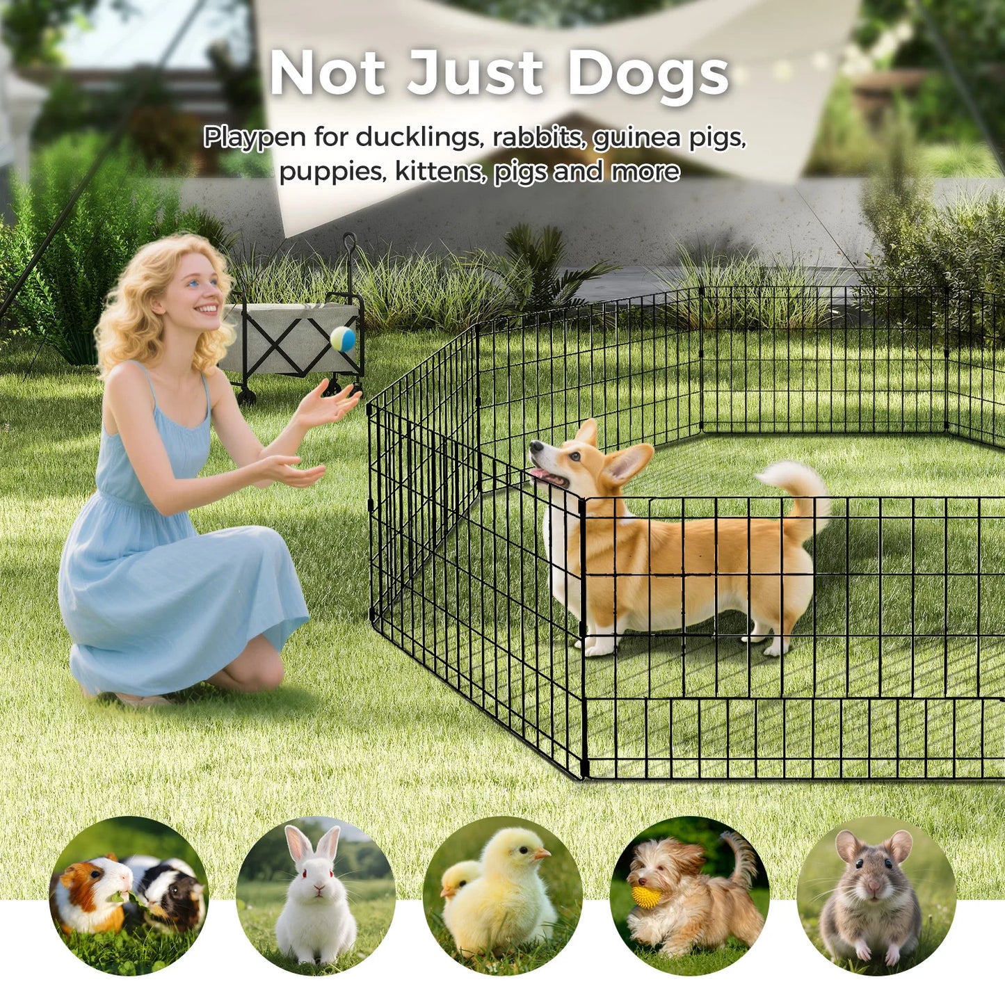 Foldable Metal Exercise Dog Playpen