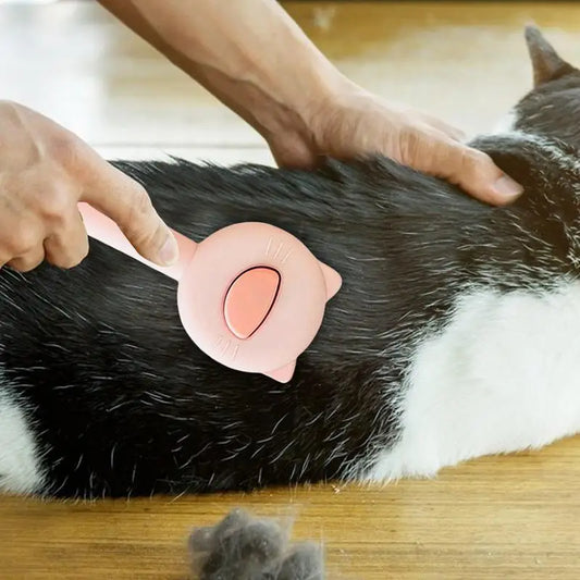 Cat Brush For Shedding