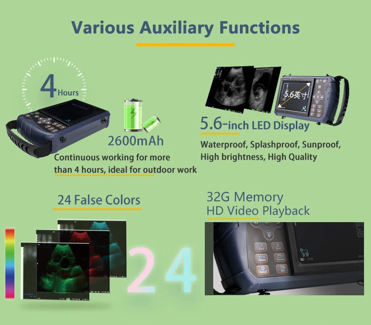 Portable Veterinary Ultrasound Scanner