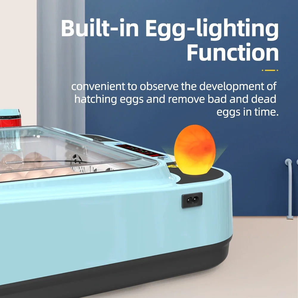 64/6 Chicken Duck Quail Egg Incubator