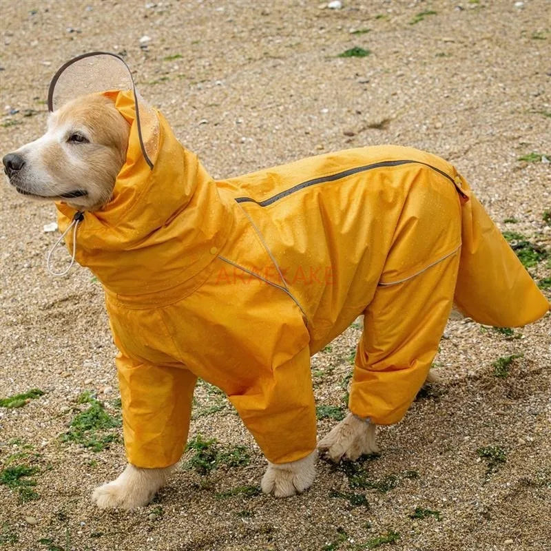 All inclusive raincoat